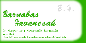 barnabas havancsak business card